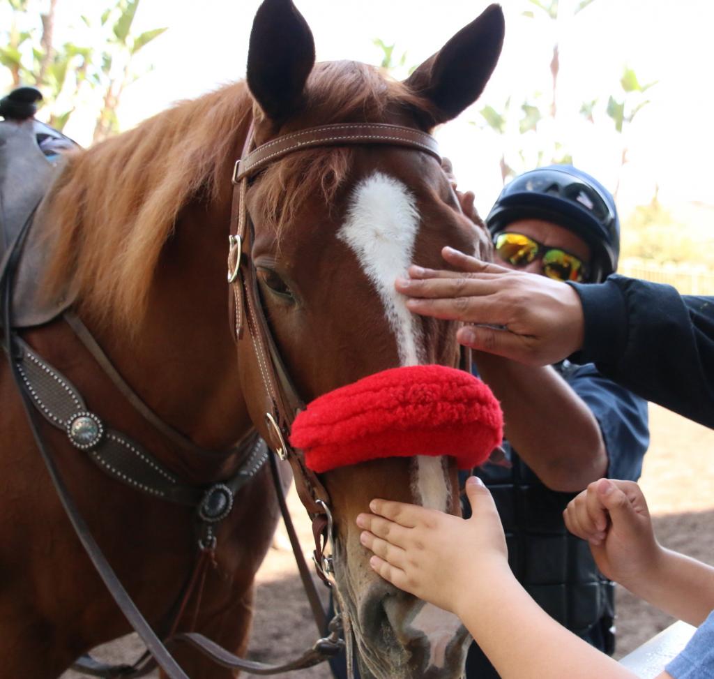Petting the pony. (Julie June Stewart photo)